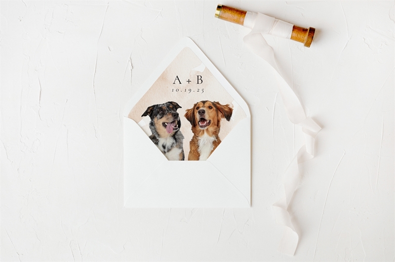 Picture of Pet Photo Envelope Liner