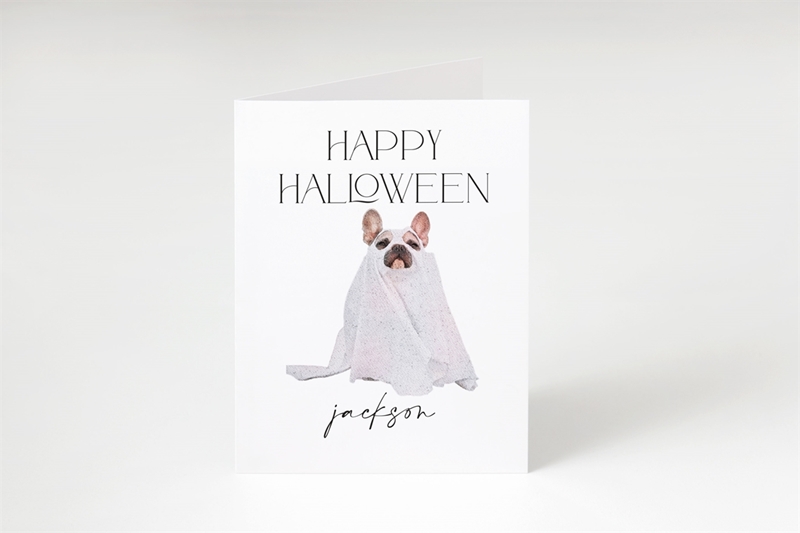 Picture of Halloween Dog